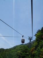 2006_0526vege0043