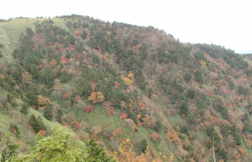 PA280057