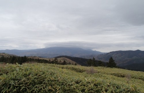 PA280097